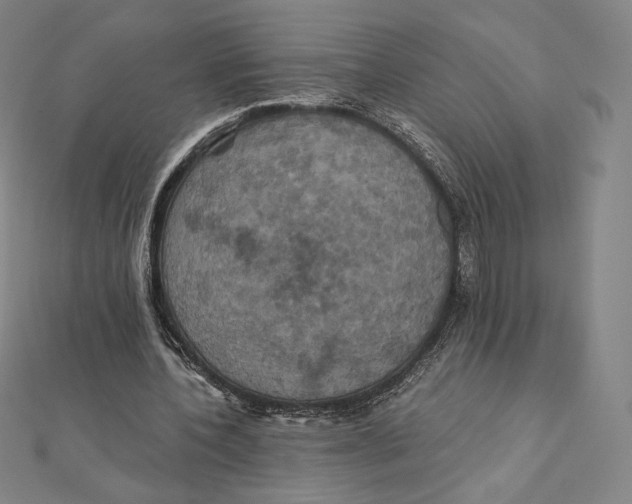 X0000112030532200908311217