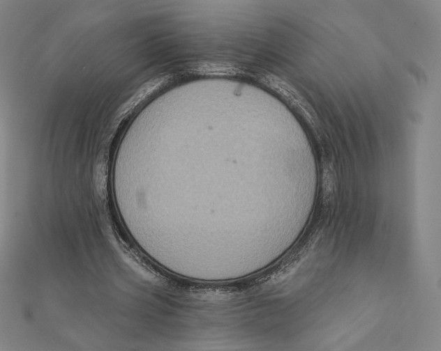 X0000112030533200908311217