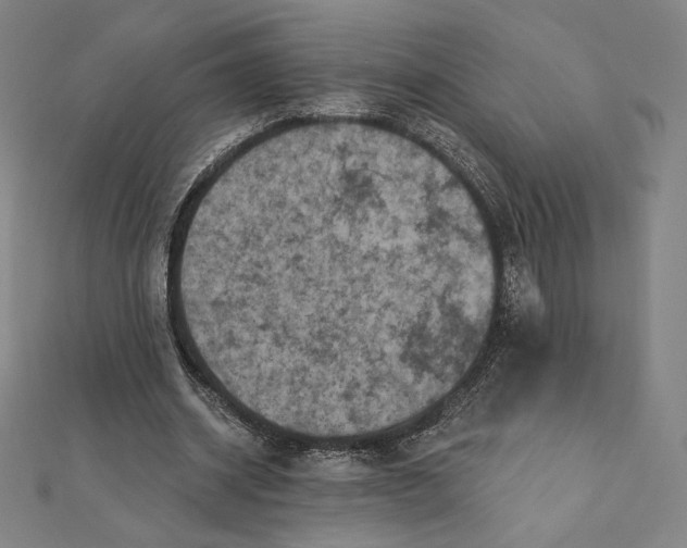 X0000112030534200908311217