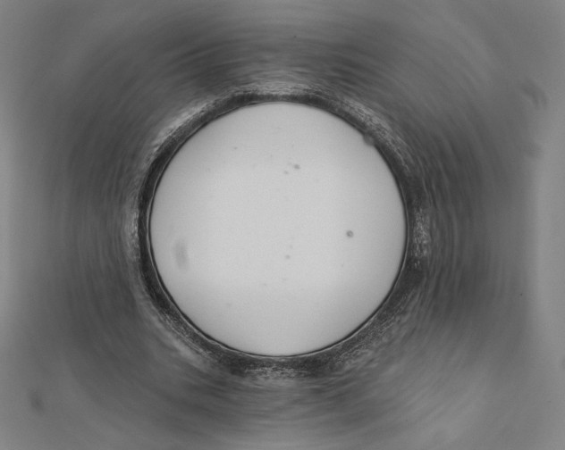 X0000112030535200908311217