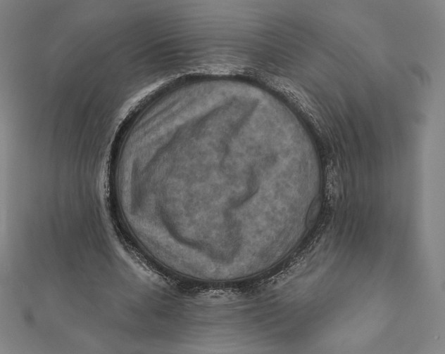 X0000112030536200908311217