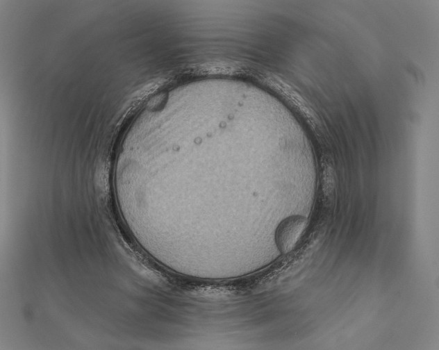 X0000112030537200908311217