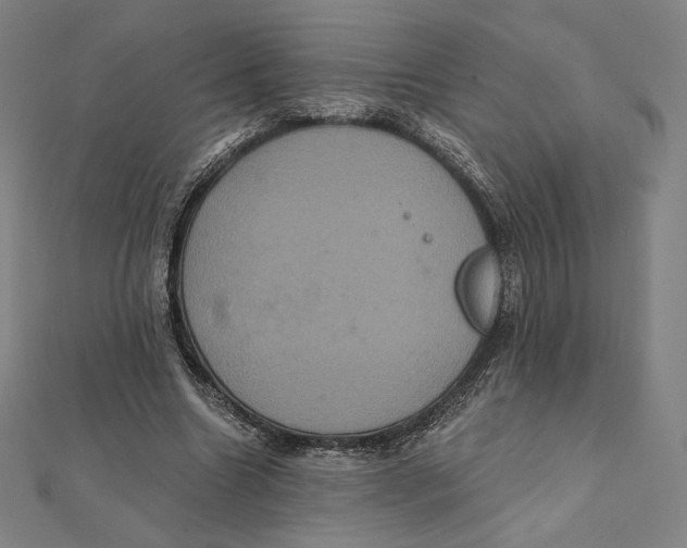 X0000112030538200908311217