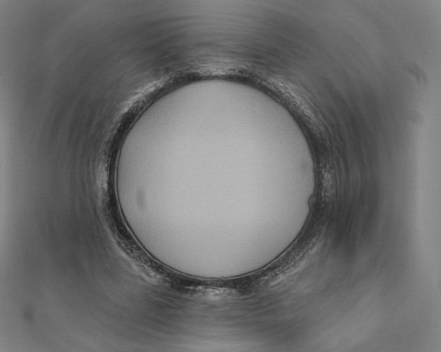 X0000112030539200908311217