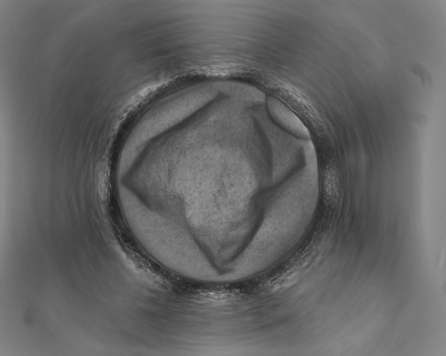 X0000112030540200908311217