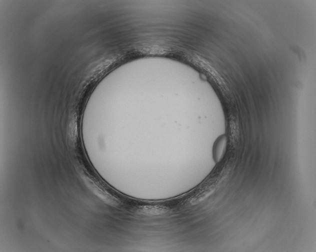 X0000112030541200908311217