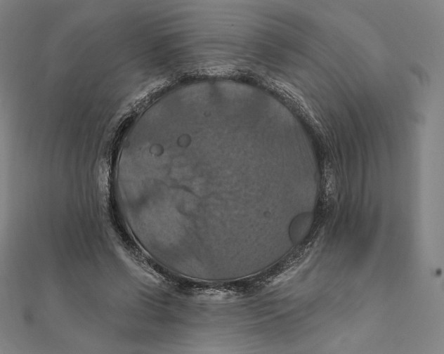 X0000112030542200908311217