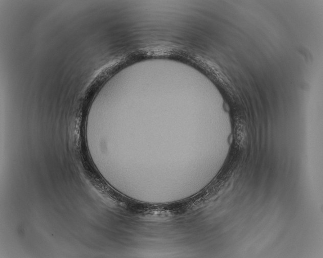 X0000112030543200908311217
