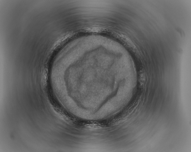 X0000112030544200908311217