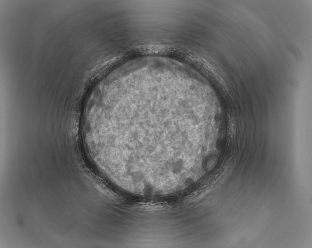 X0000112030545200908311217