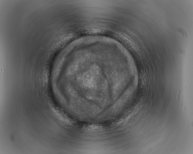 X0000112030546200908311217