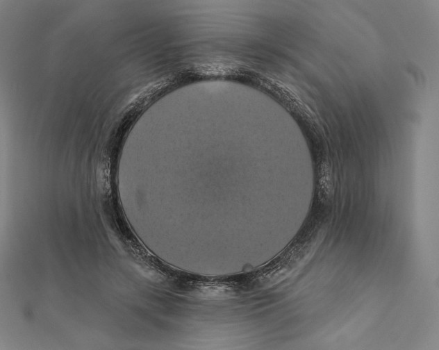 X0000112030547200908311218