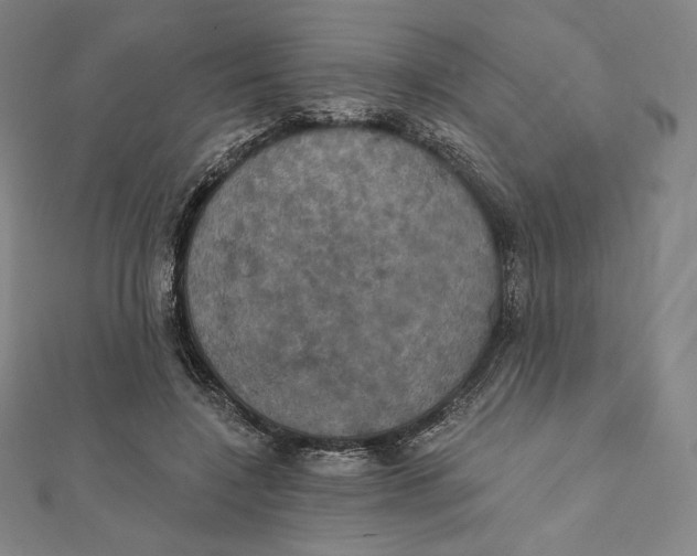 X0000112030548200908311218
