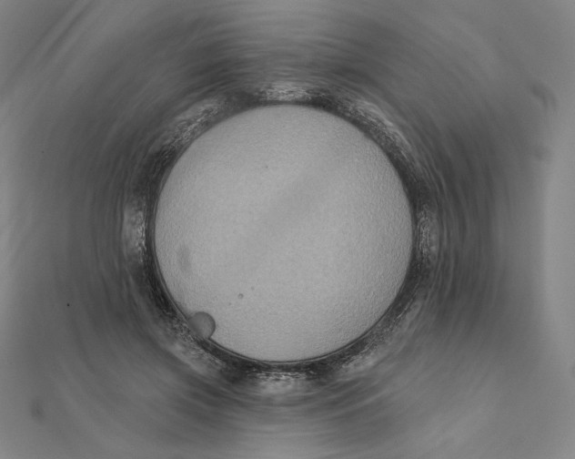 X0000112030549200908311218