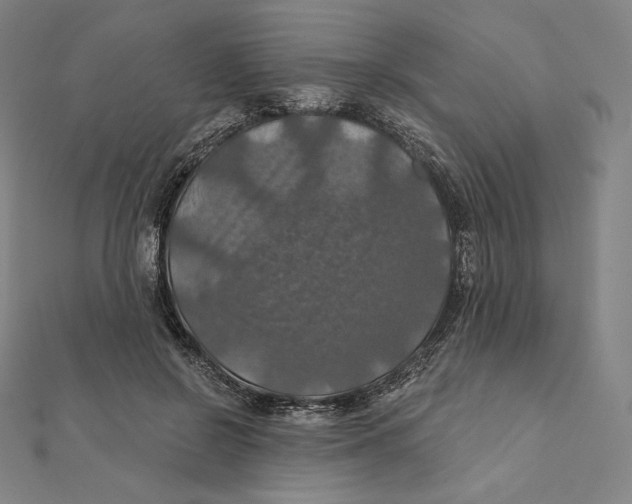 X0000112030550200908311218