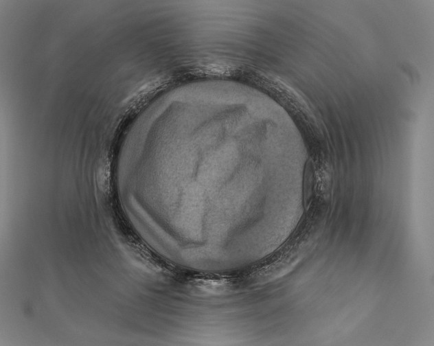 X0000112030552200908311218