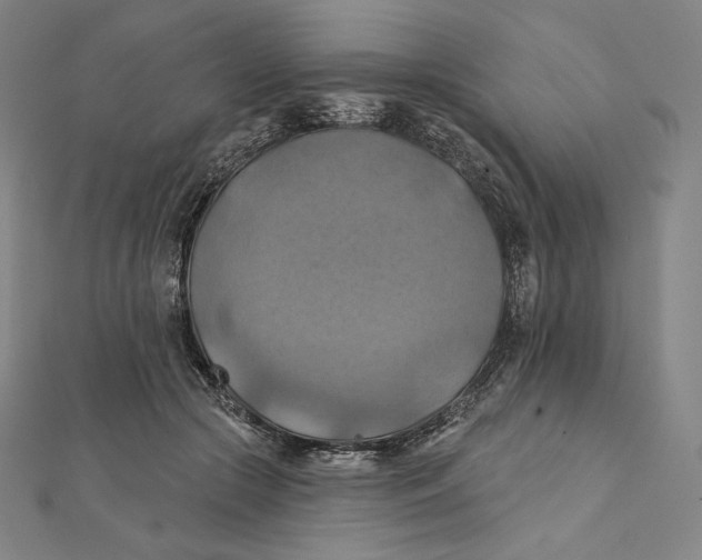 X0000112030553200908311218