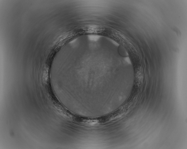 X0000112030554200908311218