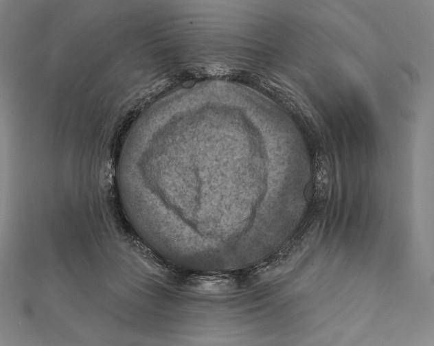 X0000112030555200908311218