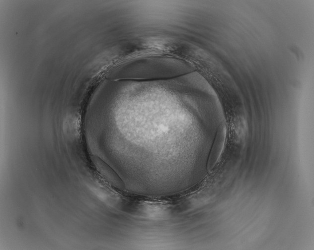 X0000112030556200908311218