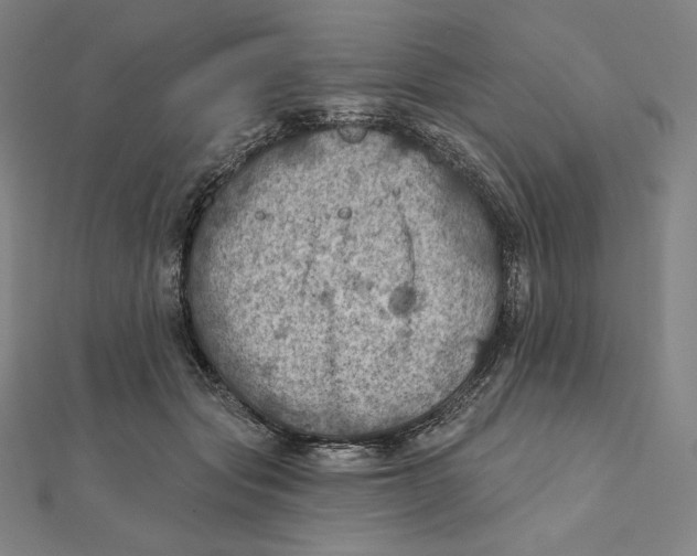 X0000112030557200908311218