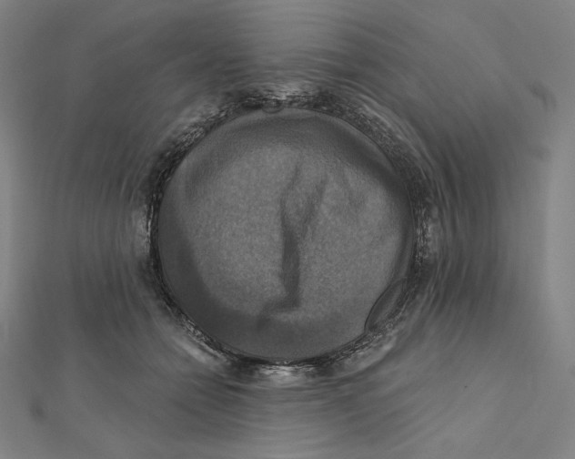 X0000112030558200908311218