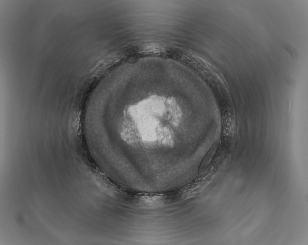 X0000112030560200908311218