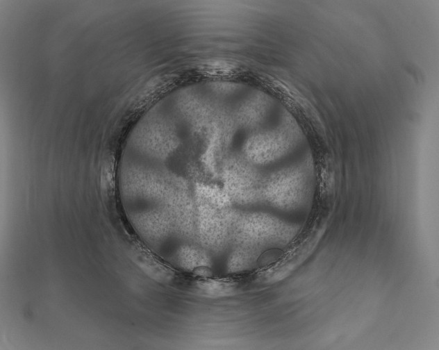 X0000112030561200908311218