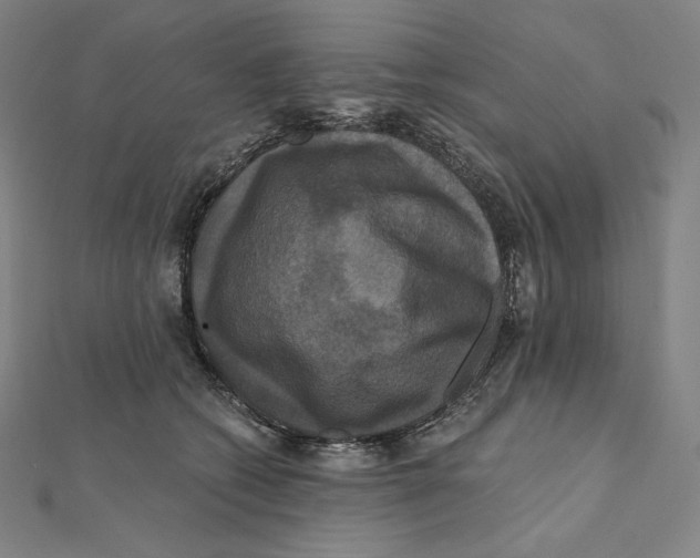 X0000112030562200908311218