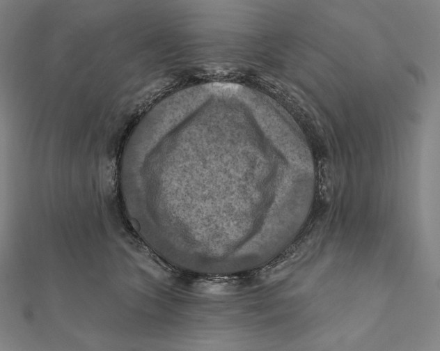 X0000112030563200908311218