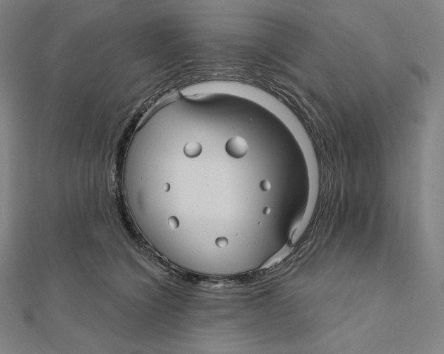 X0000112030564200908311218