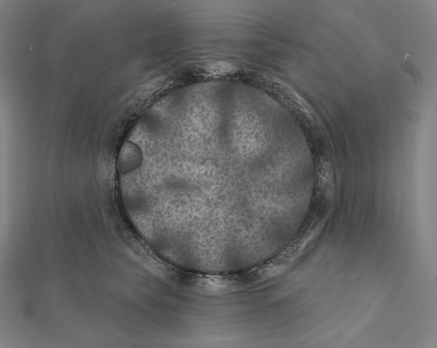 X0000112030565200908311218