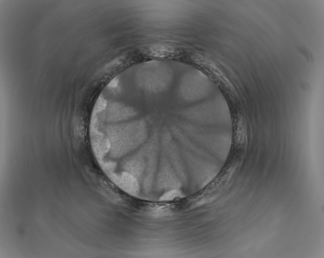X0000112030569200908311218