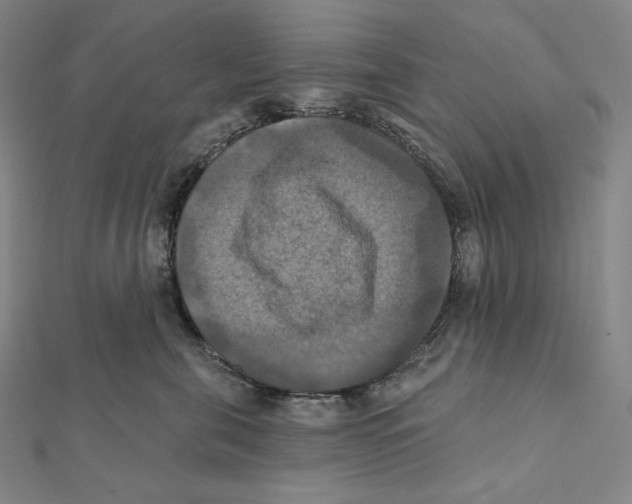 X0000112030571200908311218