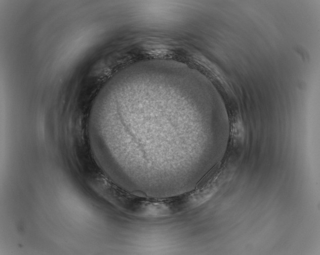 X0000112030572200908311218