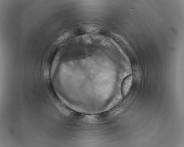 X0000112030573200908311218