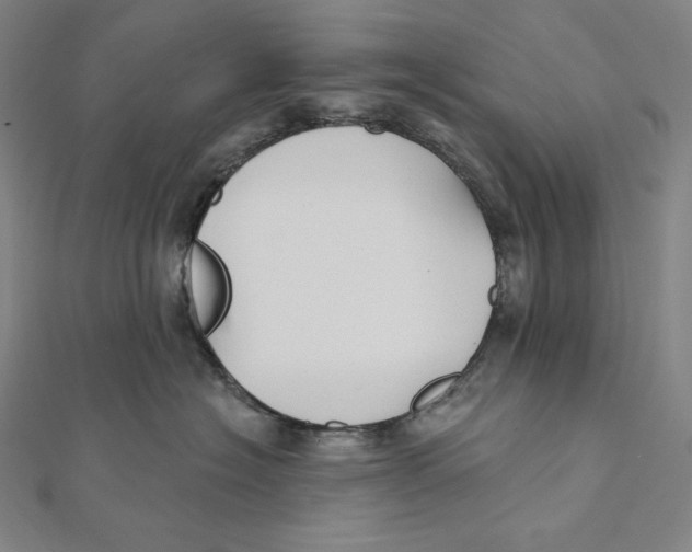 X0000112030574200908311218