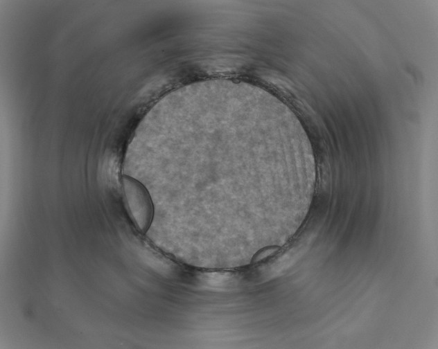 X0000112030575200908311218