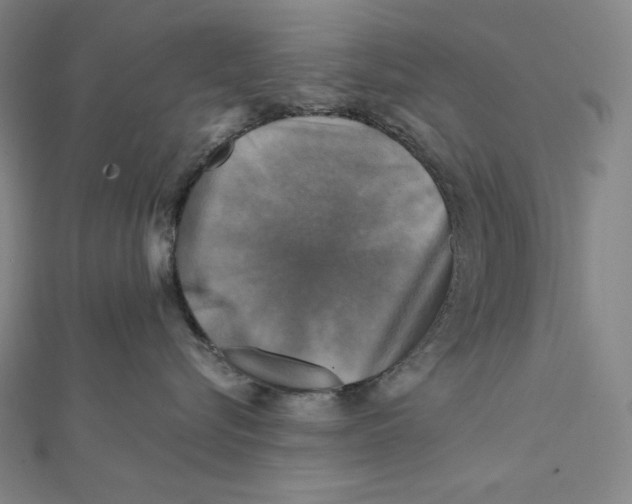 X0000112030576200908311218