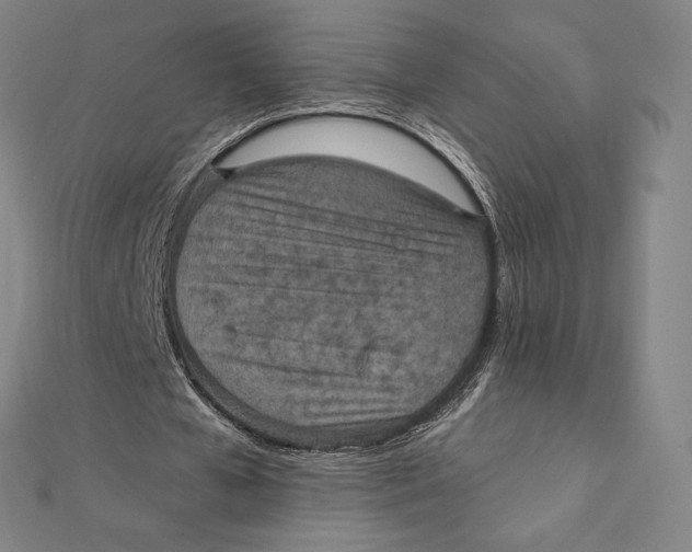 X0000112030577200908311217