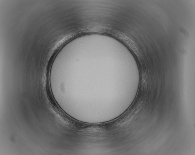 X0000112030578200908311217
