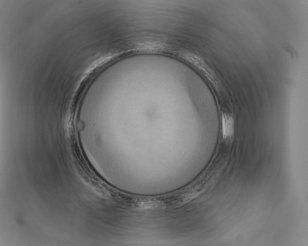 X0000112030579200908311217