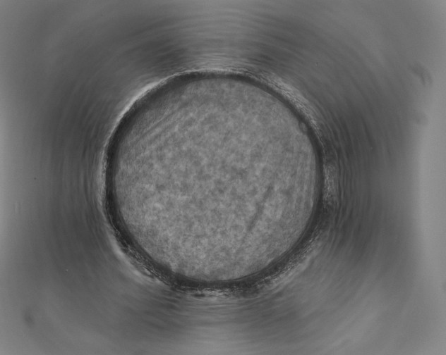 X0000112030580200908311217