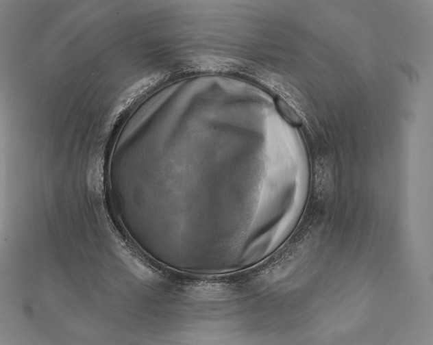 X0000112030581200908311217