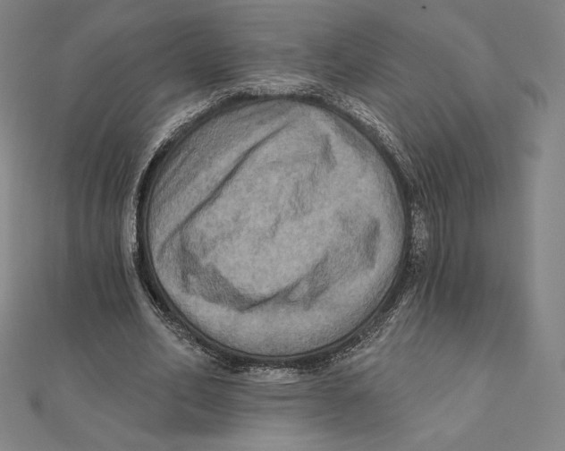 X0000112030582200908311217