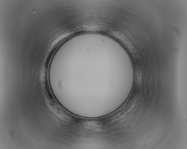 X0000112030583200908311217