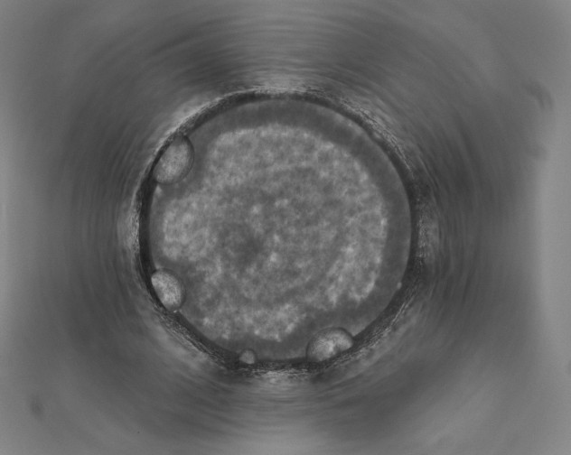 X0000112030584200908311217
