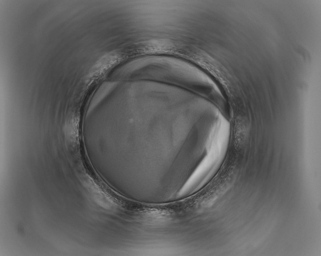 X0000112030585200908311217