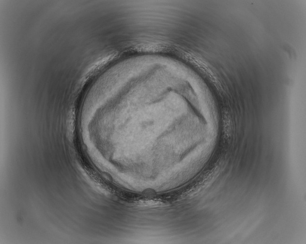 X0000112030586200908311217