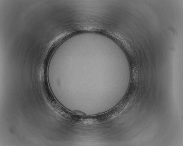 X0000112030587200908311217